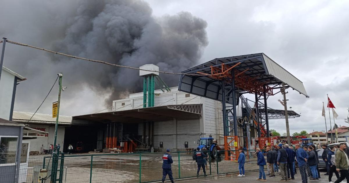 sakarya karasudaki findik kirim fabrikasinda yangin cikti 9nCG4lkK.jpg