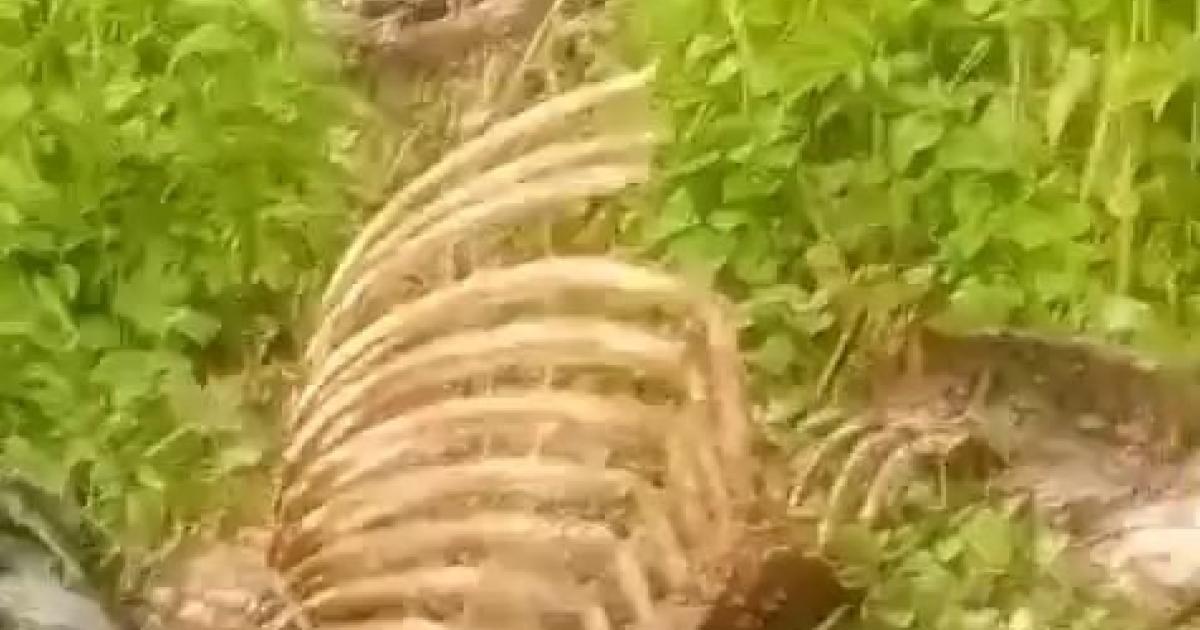sakaryada dere kenarinda bulundu aW9fyw7M.jpg