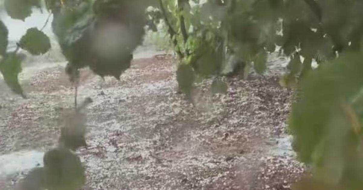 sakaryada firtina ve dolu tarim arazilerini vurdu cH9lQiun.jpg