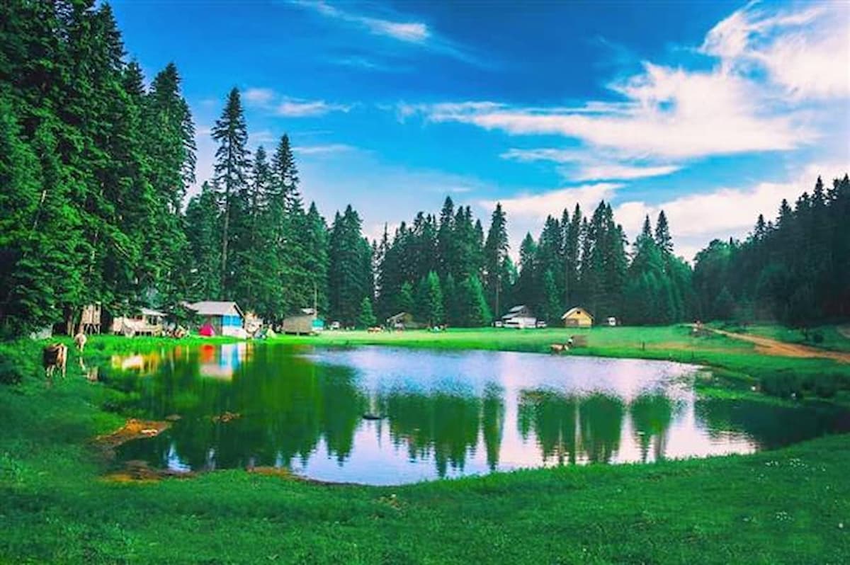 yayla