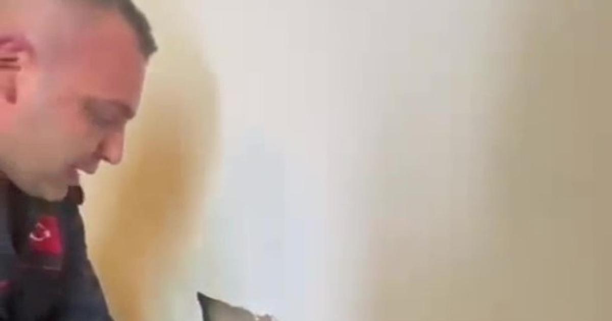 zonguldak kozluda minik kediler mahsur kaldi FsOlsyBt.jpg