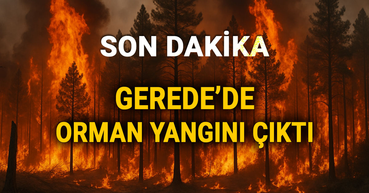 Bolu Gerede'de Orman Yangını Haber