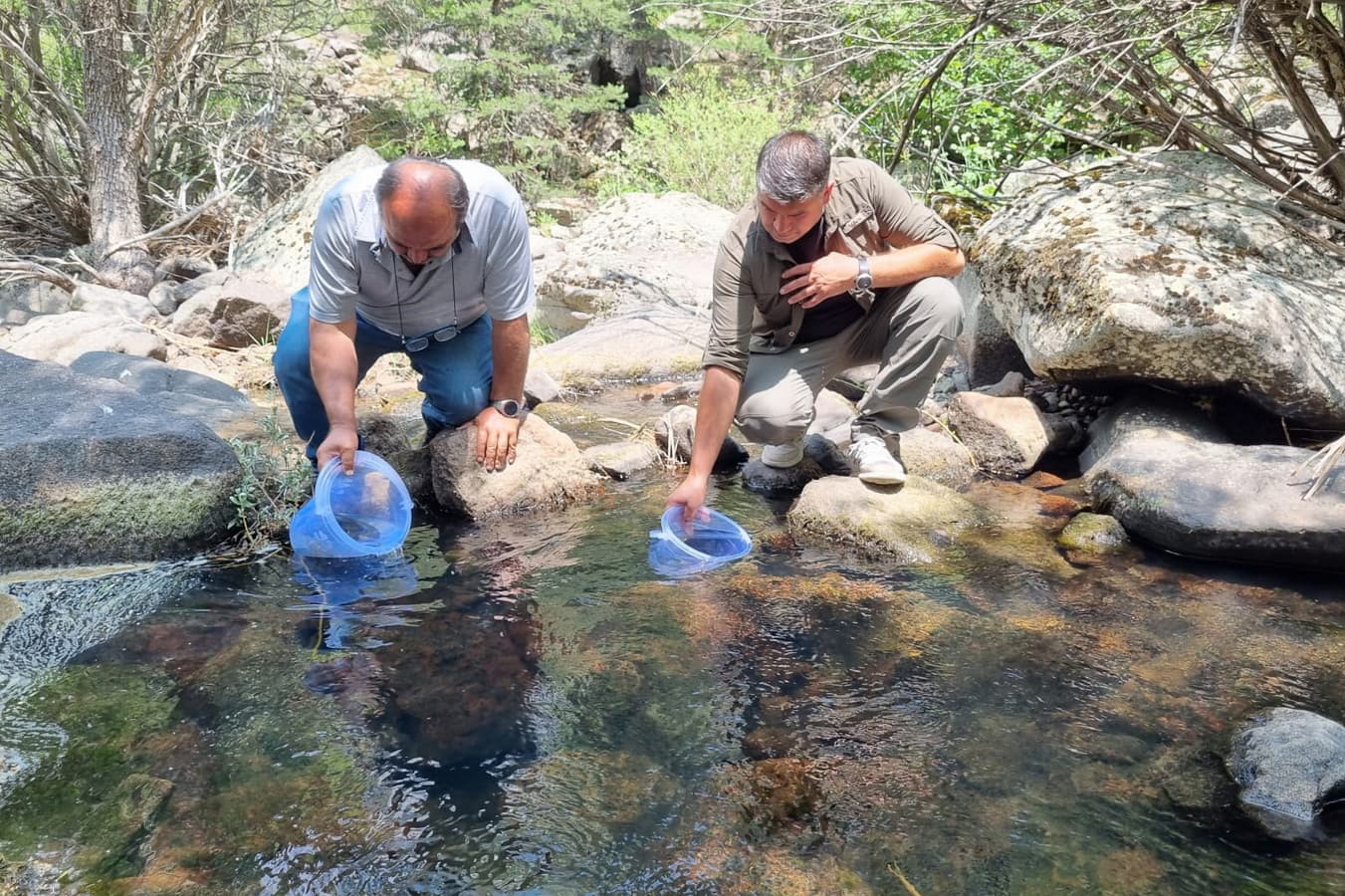 Bolu’da 12 Bin Alabalık Yavrusu Doğayla Buluştu
