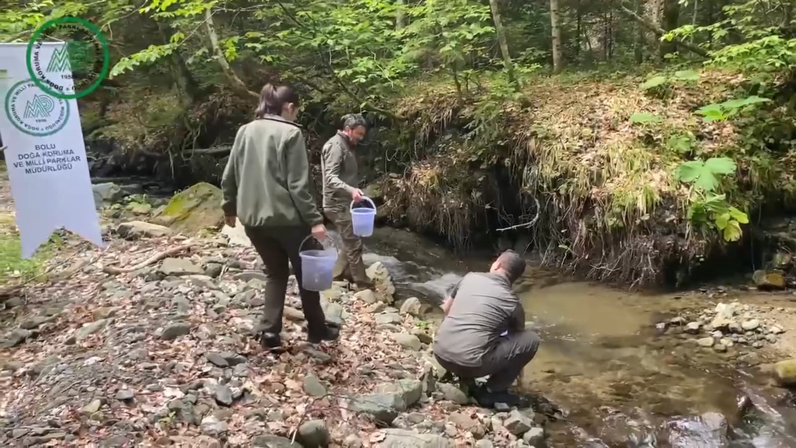 Bolu'da Alabalık Alarmı