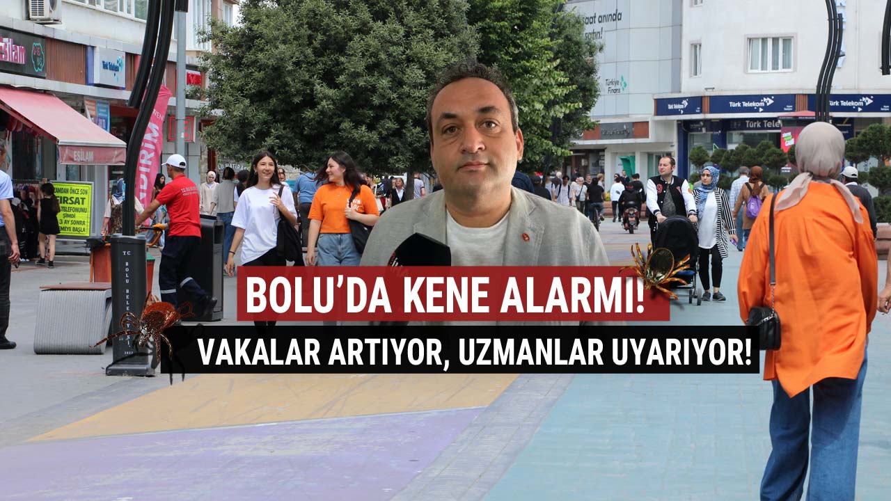 Bolu'da Kene Alarmı!2