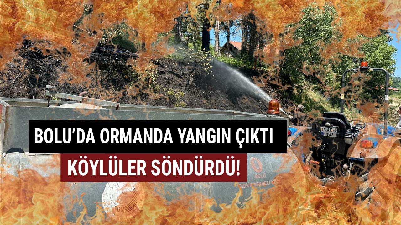 Bolu'da Ormanda Çıkan Yangını Köylüler 22Söndürdü!