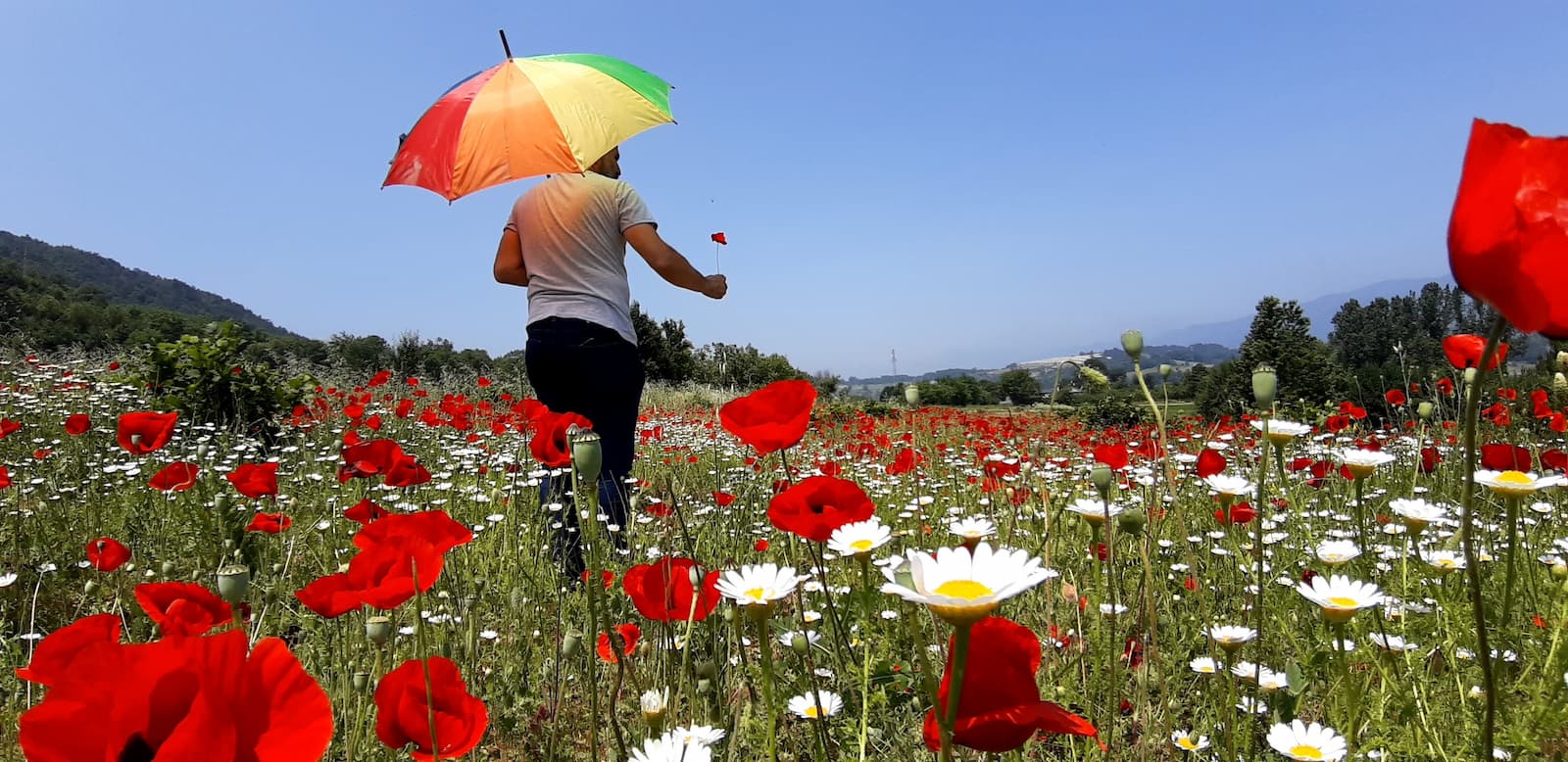 Bolu’nun Doğal Güzelliği Görenler Kameralarına Sarılıyor