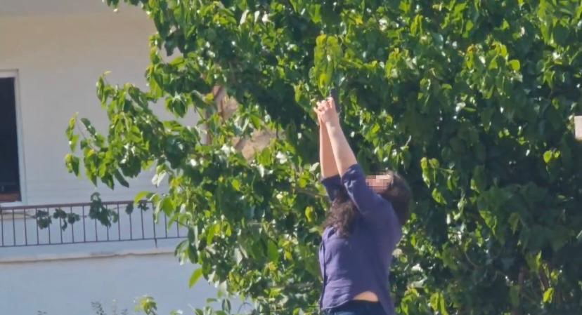 Erkek Arkadaşının Ofisini Kurşunladı, İntihar Girişiminde Bulundu