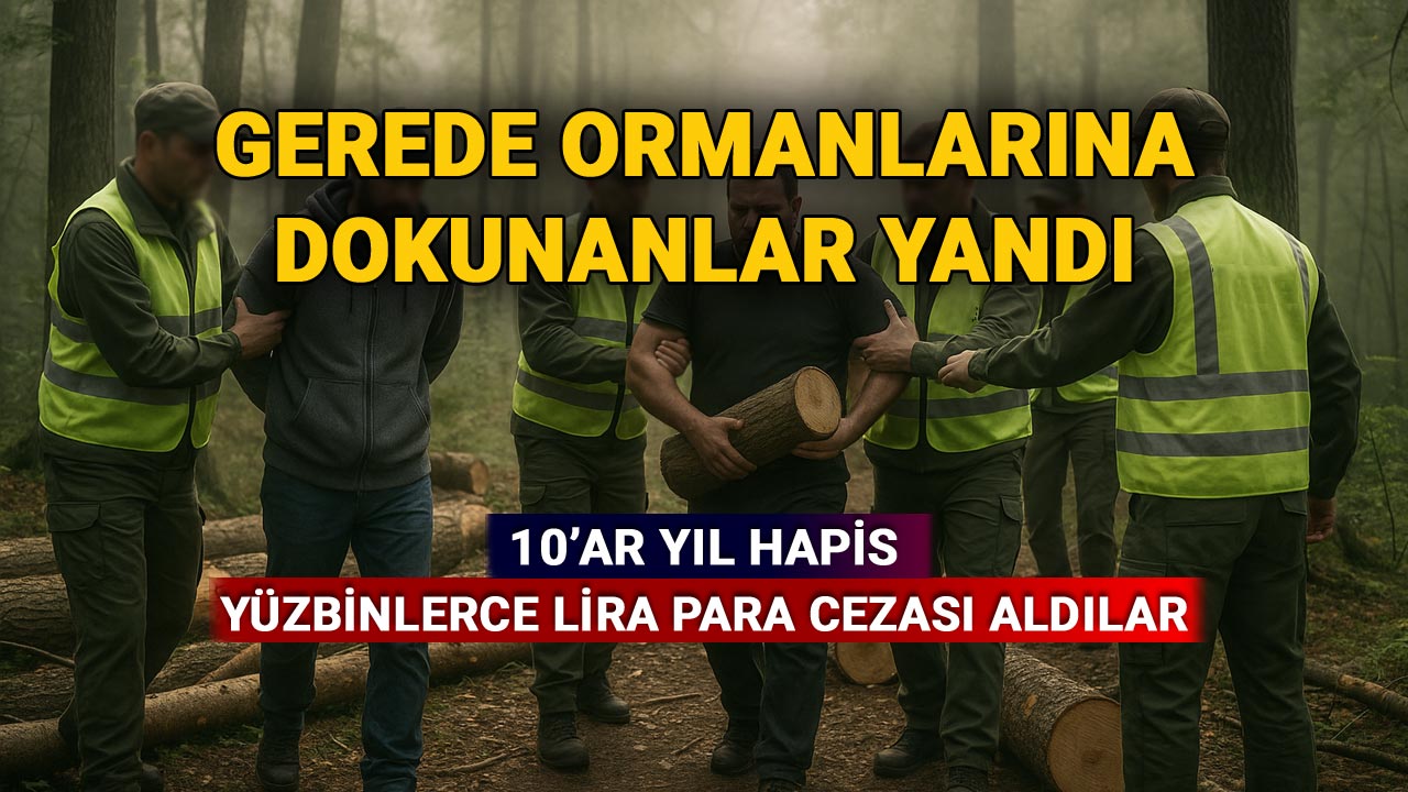 Gerede Ormanlarına Dokunanlar Yandı: 10'ar Yıl Hapse Mahkum Oldular