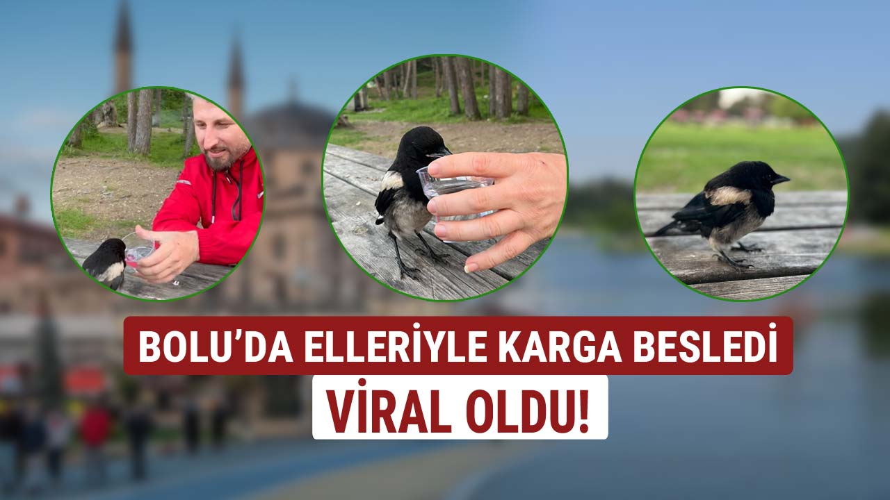boluda elleriyle karga besledi viral oldu