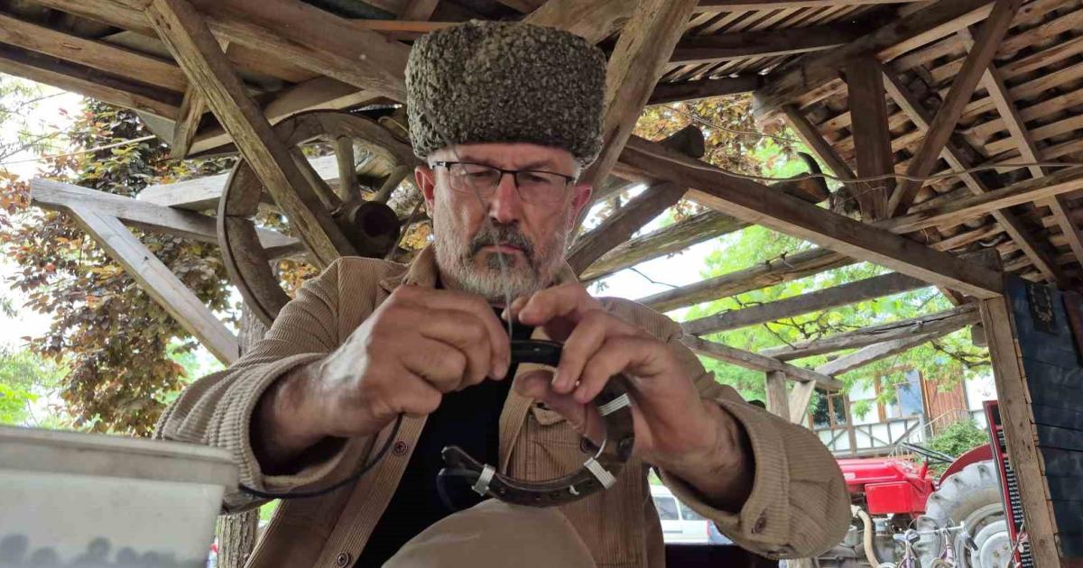 duzcede at nallarini sanata donusturuyor 3ZA1IFwO.jpg