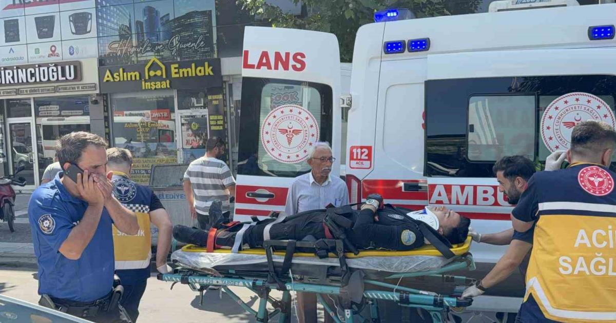 duzcede kurban bayraminda saglik ekibi yogun calisti WutZct8h.jpg