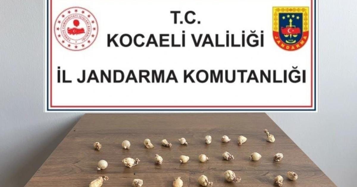 korfezde sok olay midesinde 28 uyusturucu kapsulu bulundu 1yF8RZZD.jpg