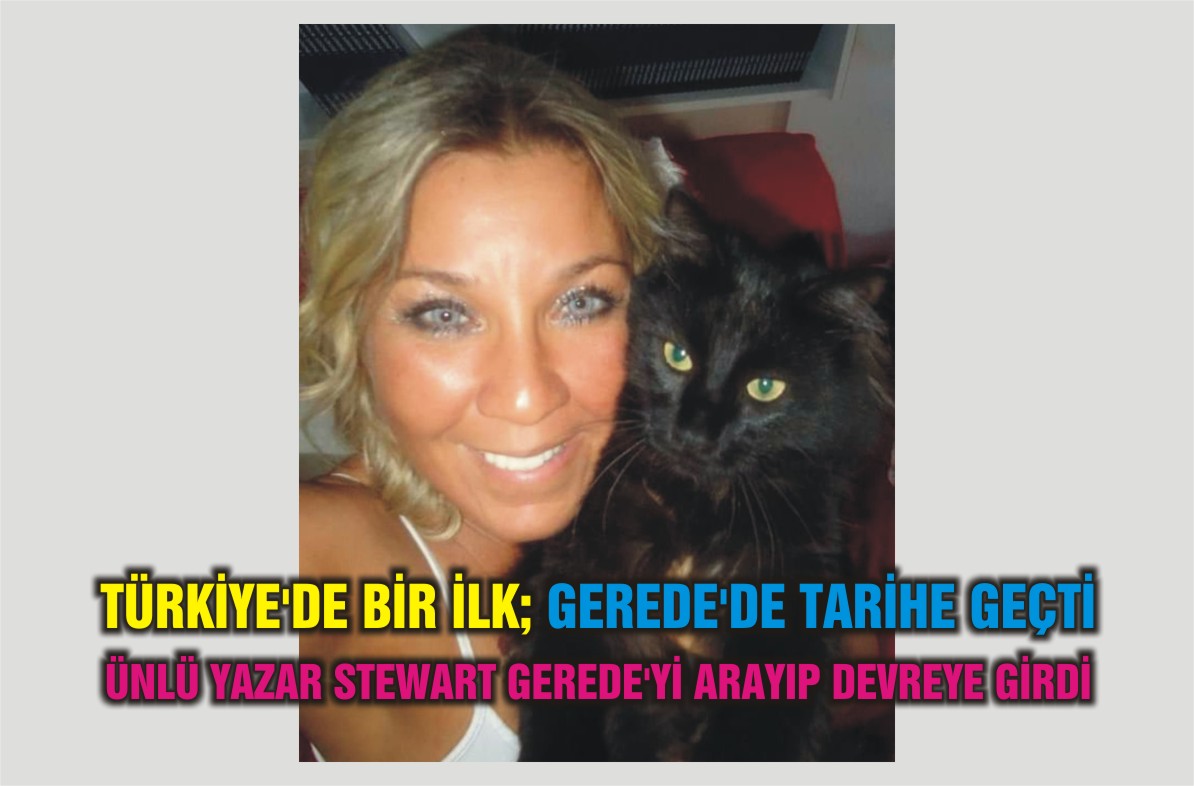 müze koy