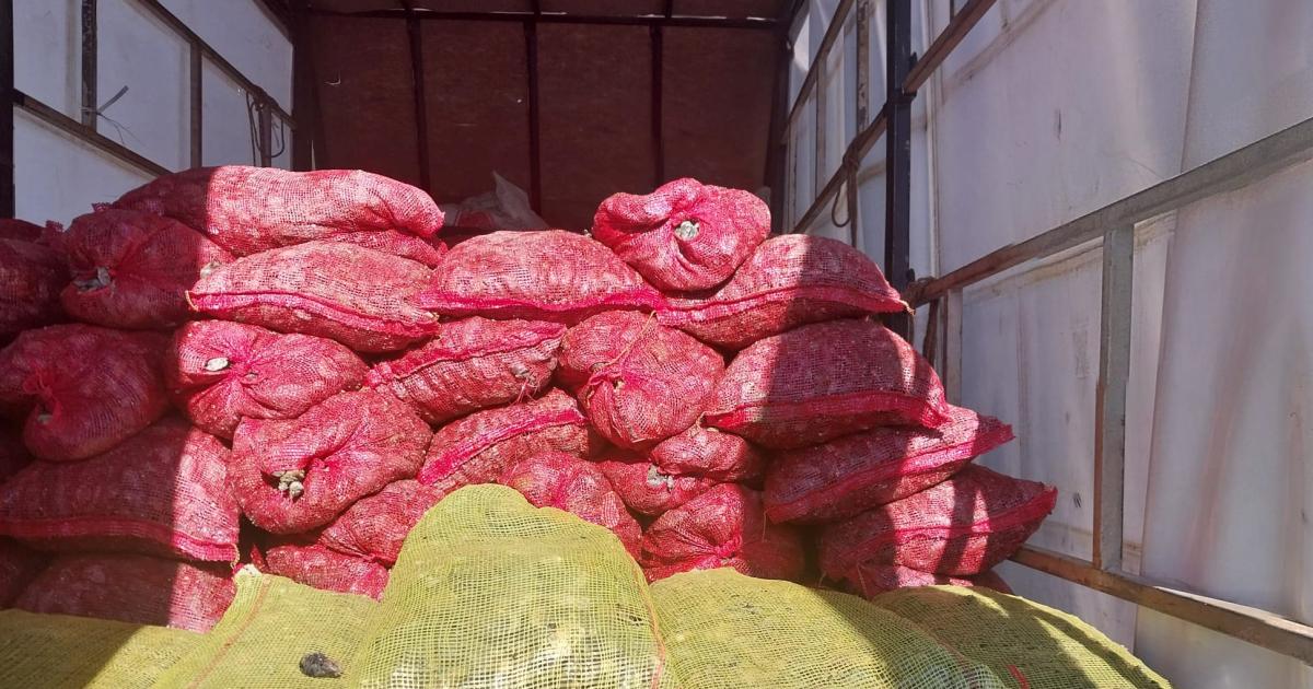 sakaryada 54 ton kacak midye ele gecirildi xF4GrhBf.jpg
