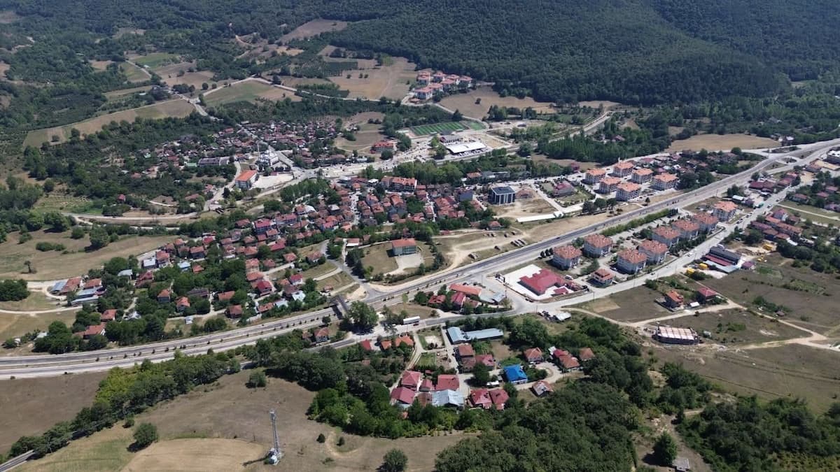 taşkesti