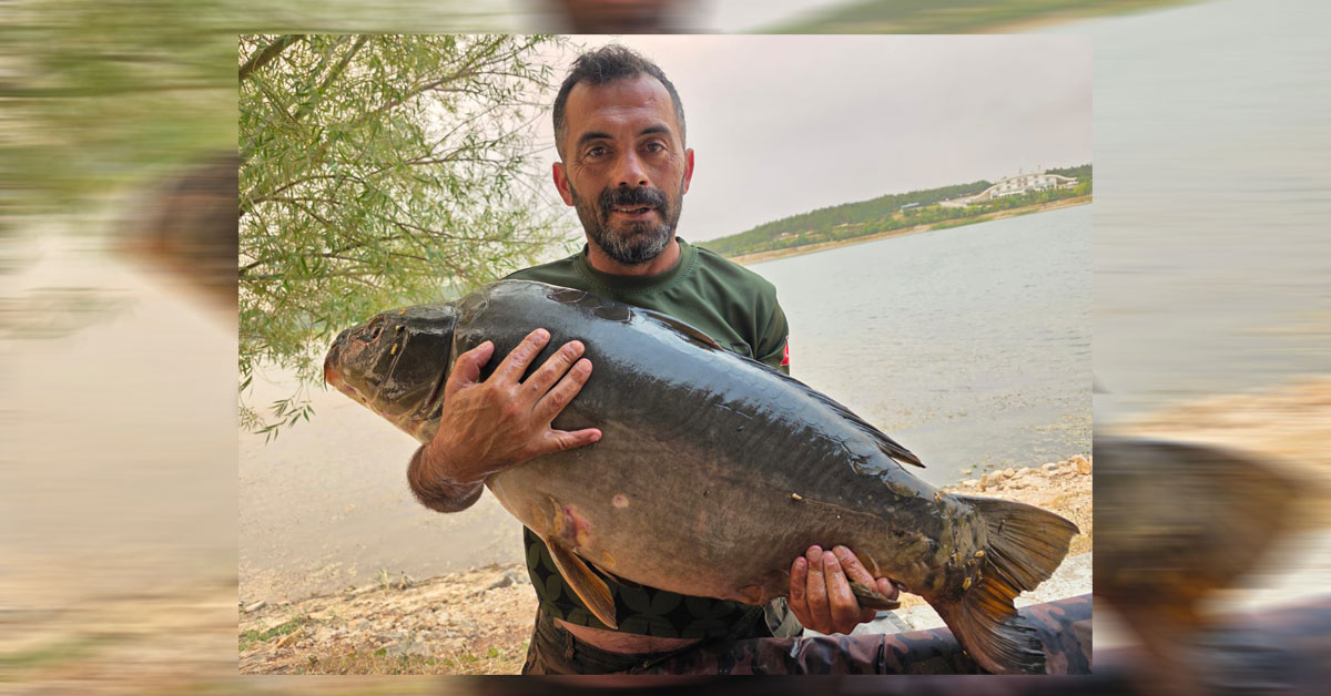 28 Kiloluk Dev Sazan İşte Burada Yakaladı