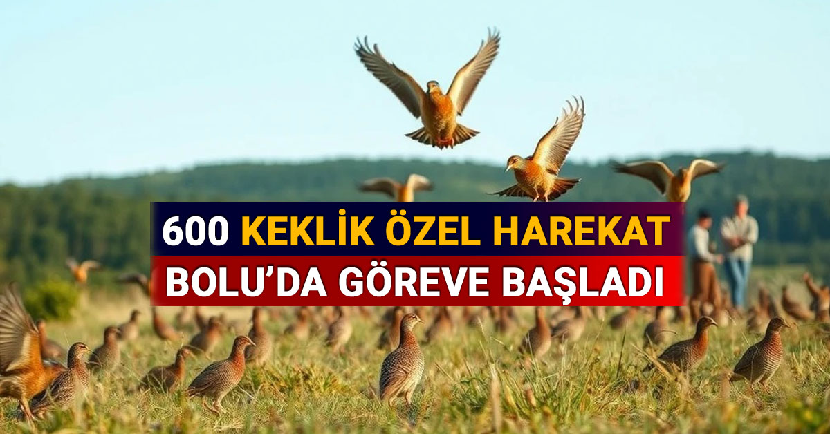 600 Keklik Özel Harekat Bolu'da Göreve Başladı
