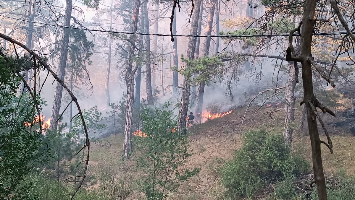 AA 20250724 38652425 38652418 BOLUNUN MUDURNU ILCESINDE ORMANLIK ALANDA YANGIN CIKTI (1)