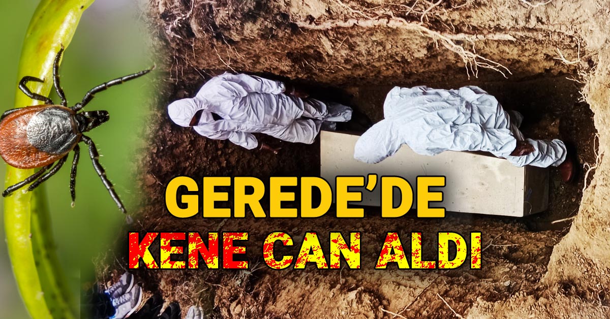Bolu Gerede'de Kene Can Aldı, KKKA