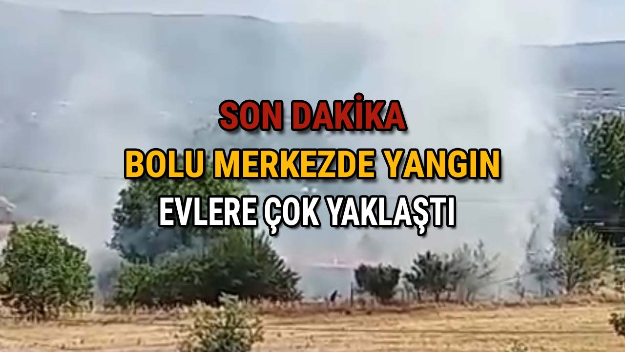 Bolu Merkezde Yangın Evlere Çok Yaklaştı