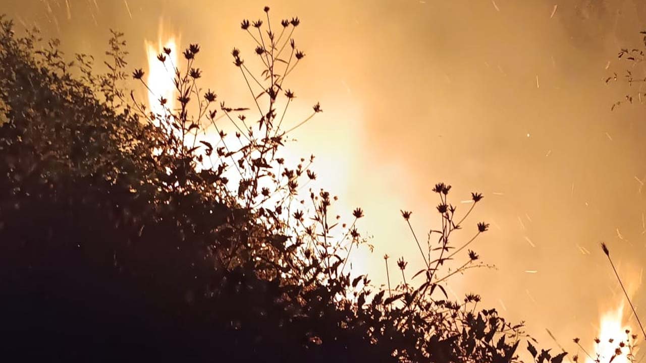 Bolu’da Akşam Saatlerinde Yangın Paniği