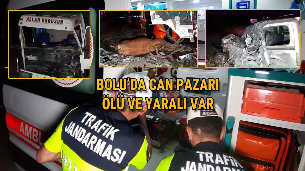 Bolu’da Can Pazarı Ölü ve Yaralı Var