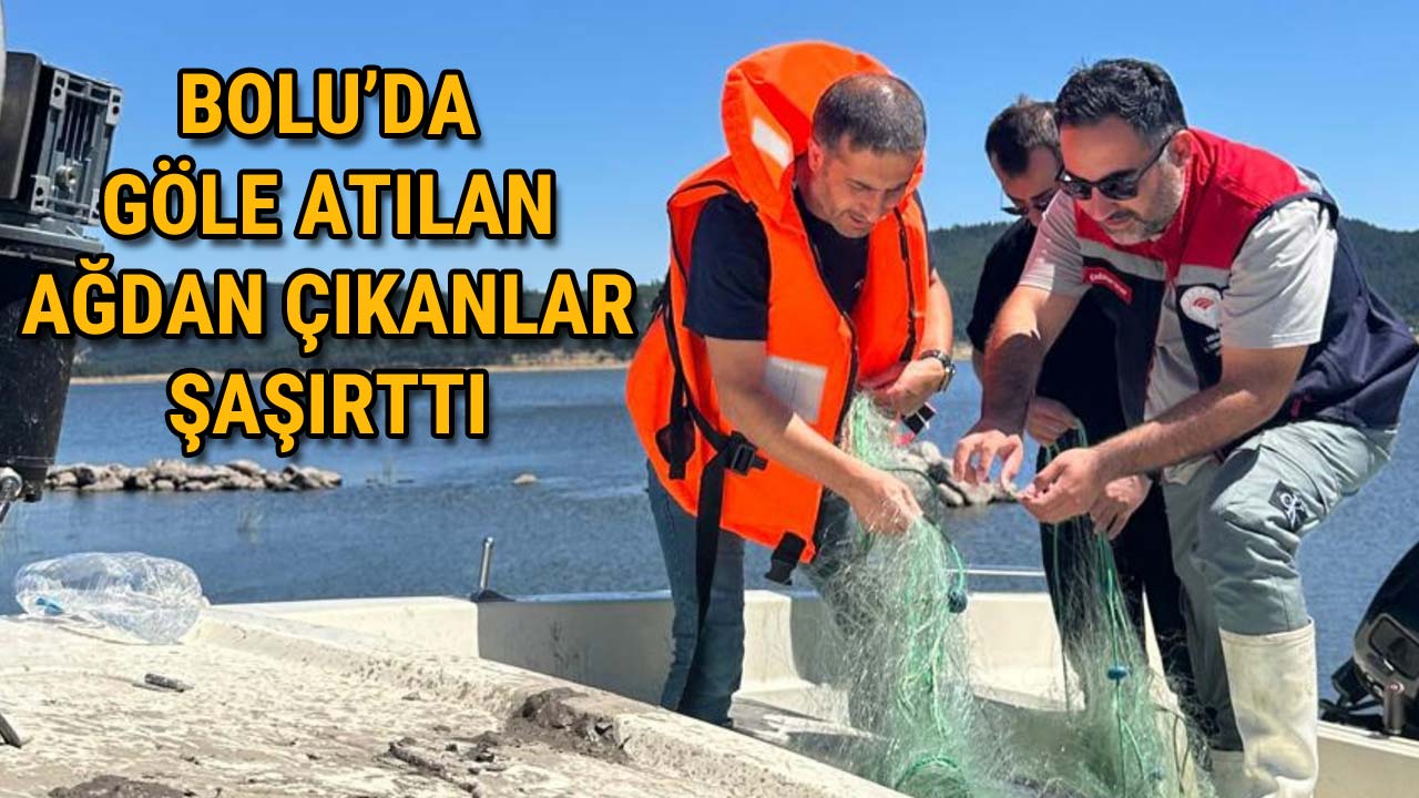 Bolu’da Göle Atılan Ağdan Çıkanlar Şaşırttı