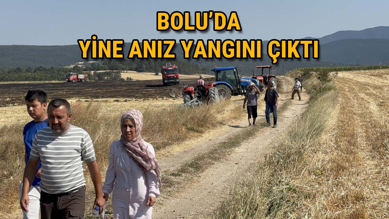 Bolu’da Yine Anız Yangını Çıktı