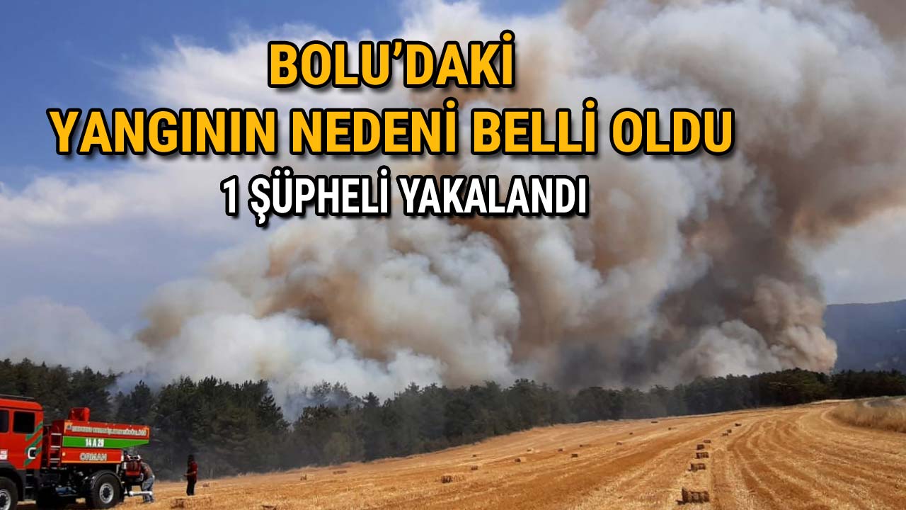 Bolu’daki Yangınının Nedeni Belli Oldu 1 Şüpheli Yakalandı