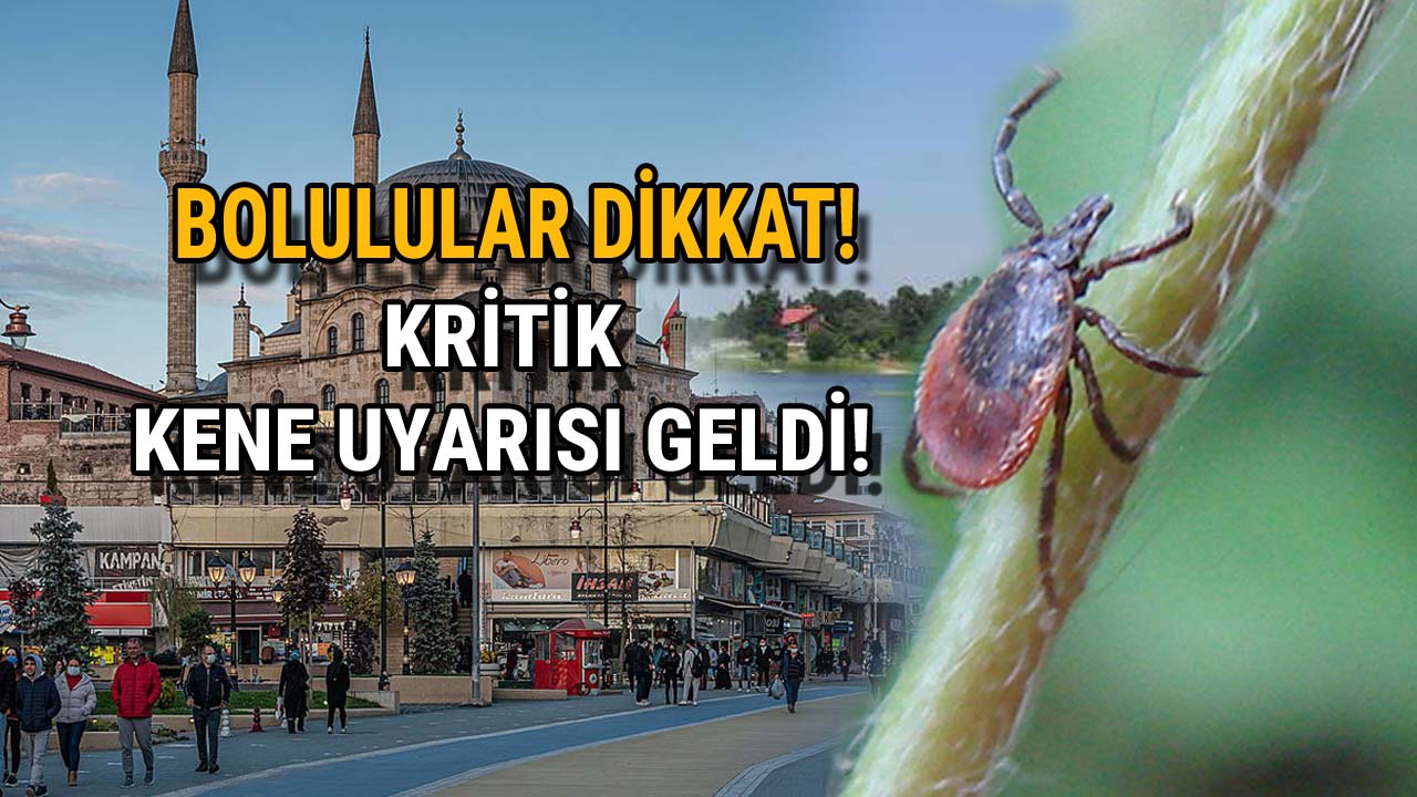 Bolulular İçin Kritik Kene Uyarısı