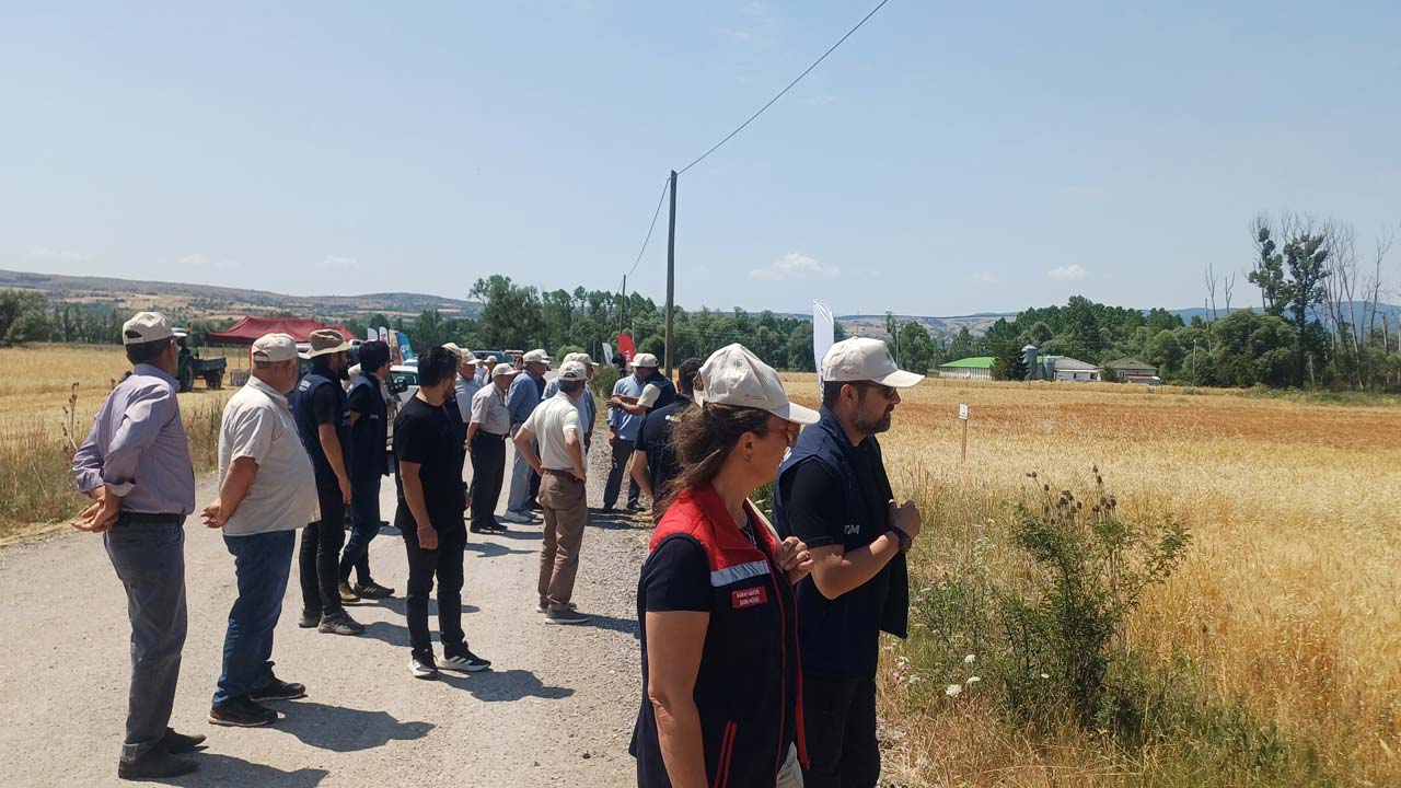 Bolu’nun İlçesinde Zararlı Alarmı