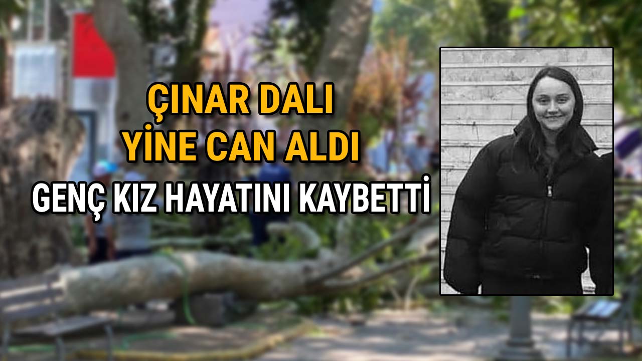 Çınar Dalı Yine Can Aldı Genç Kız Hayatını Kaybetti2