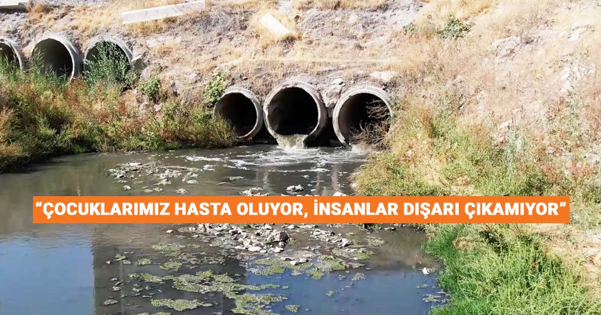 Dereden Yatağından Gelen Koku Halkı Bezdirdi! Muhtar Tabak Açıklama Yaptı