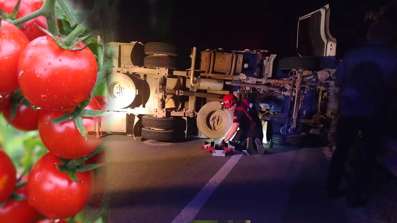 Domates Yüklü Kamyon Devrildi Sürücü ve Yolcu Yaralandı