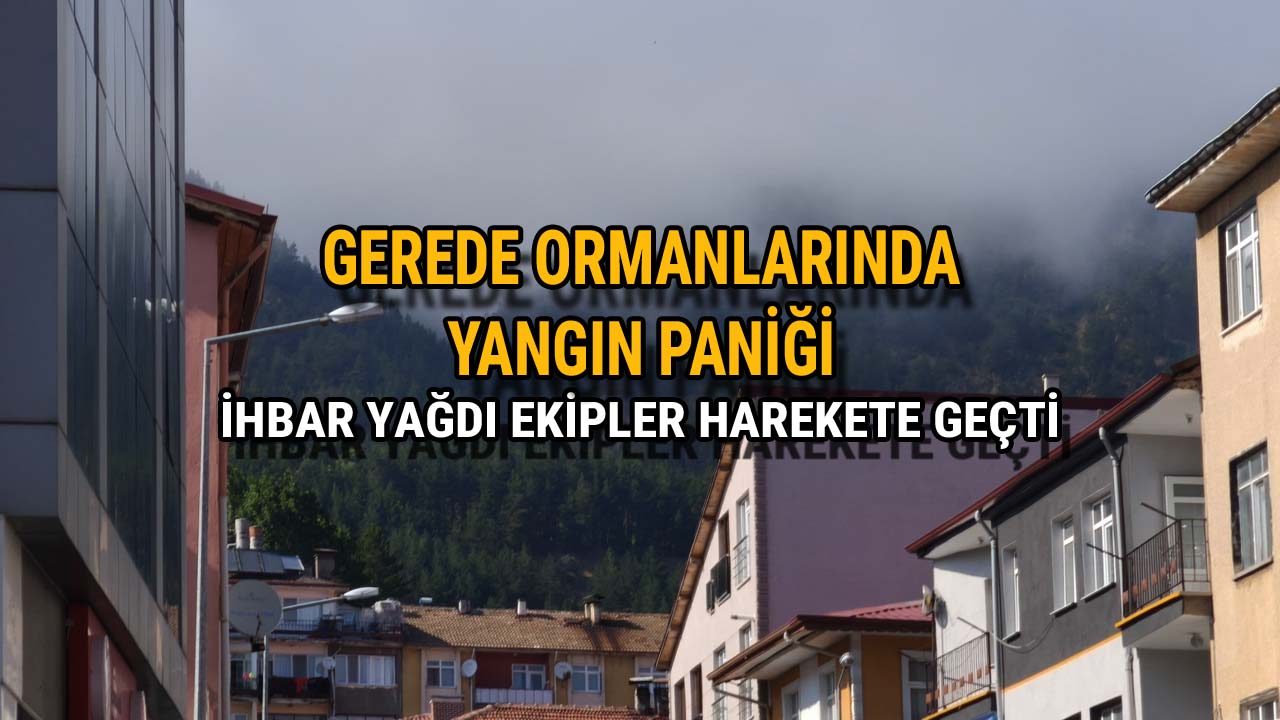 Gerede Ormanlarında Yangın Paniği İhbar Yağdı Ekipler Harekete Geçti22