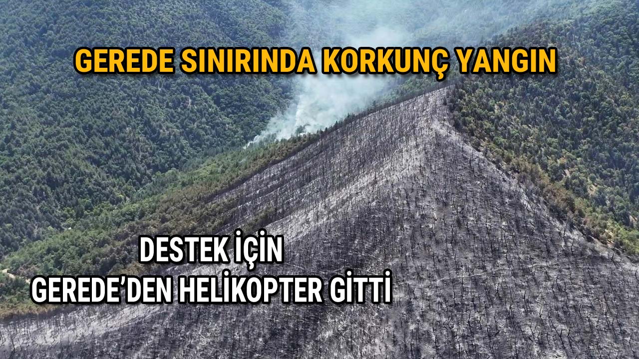 Gerede Sınırında Korkunç Yangın