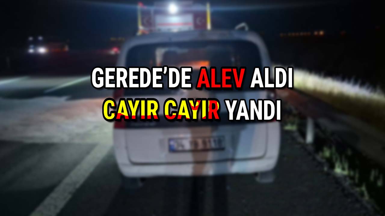 Gerede'de Alev Aldı, Cayır Cayır Yandı22