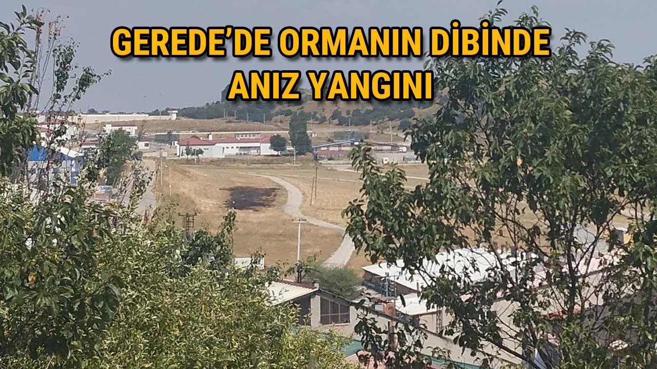 Gerede’de Ormanın Dibinde Anız Yangın333ı
