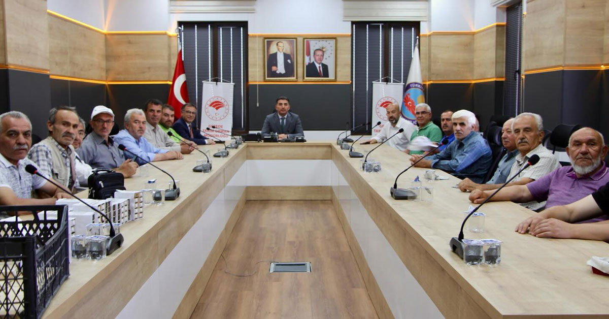 Gerede'de Yüzde 75 Hibe Fırsatı, Yüzlerce Adet Dağıtıldı, ana arı dağıtımı