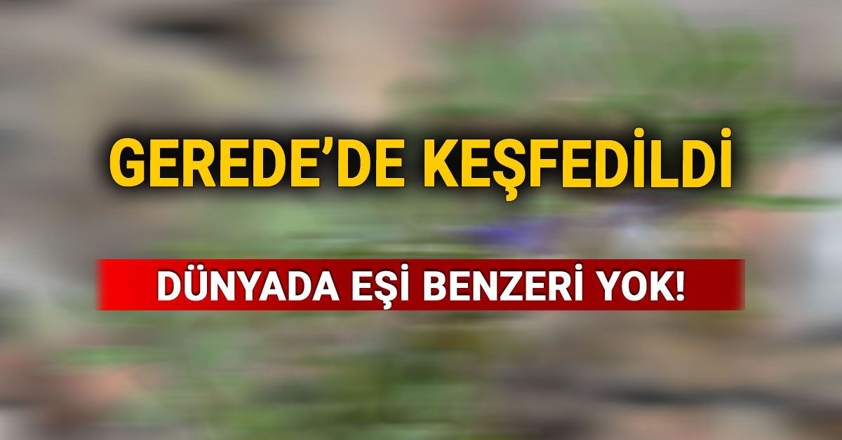 Gerede'de keşfedildi, dünyada eşi benzeri yok