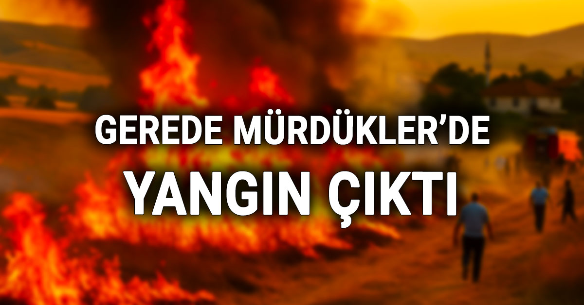 Gerede'nin Mürdükler Köyünde Yangın Çıktı