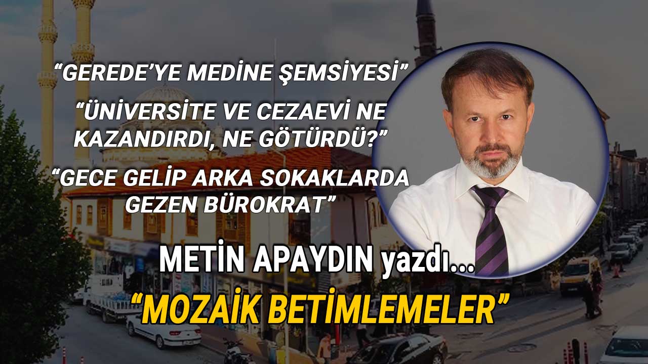 Metin Apaydın Mozik Betimlemeler Köşe Yazısı 01