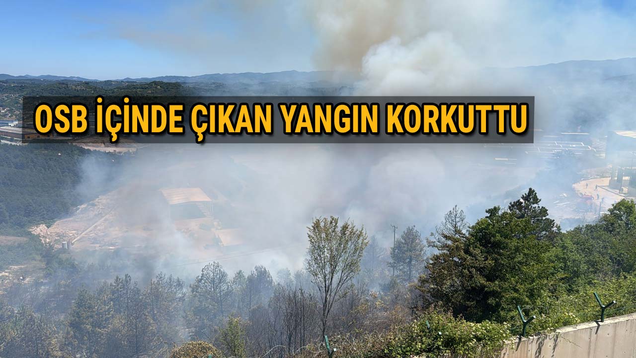 OSB İÇİNDE ÇIKAN YANGIN KORKUTTU