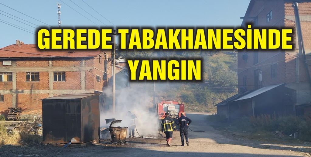 T.YANGIN
