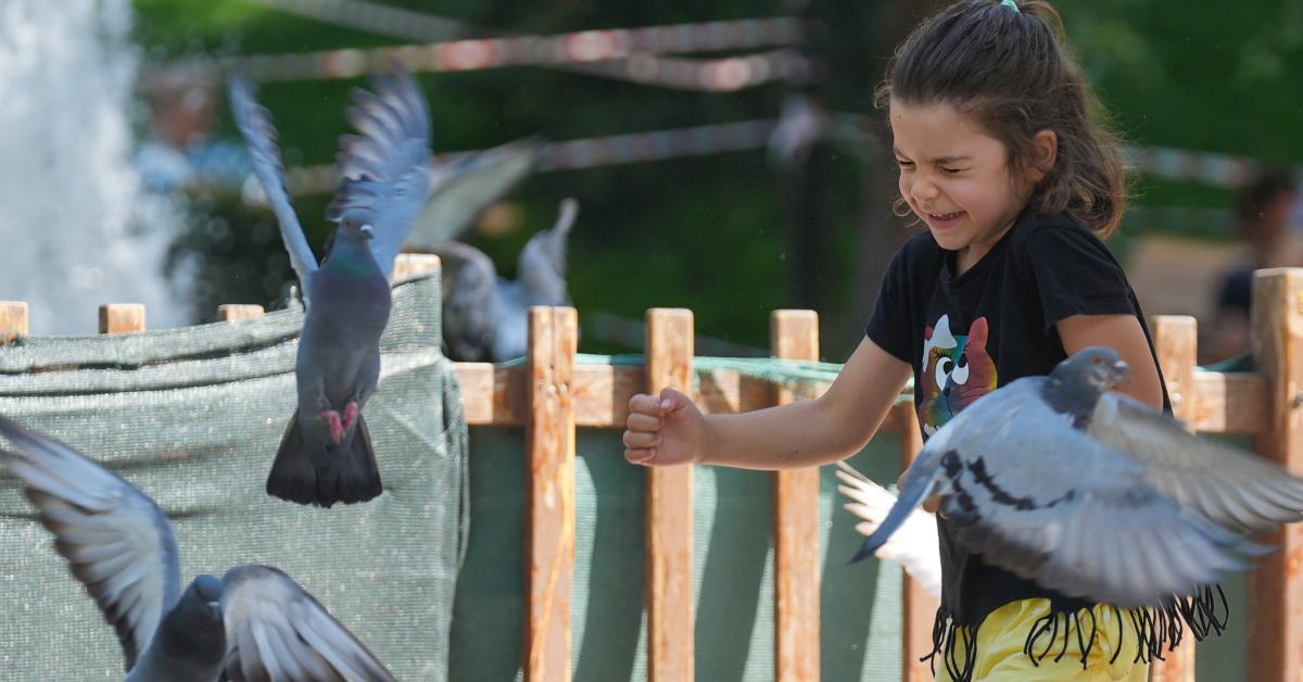 ankarada yaz sicagina karsi park molasi uX1Hb1AQ.jpg