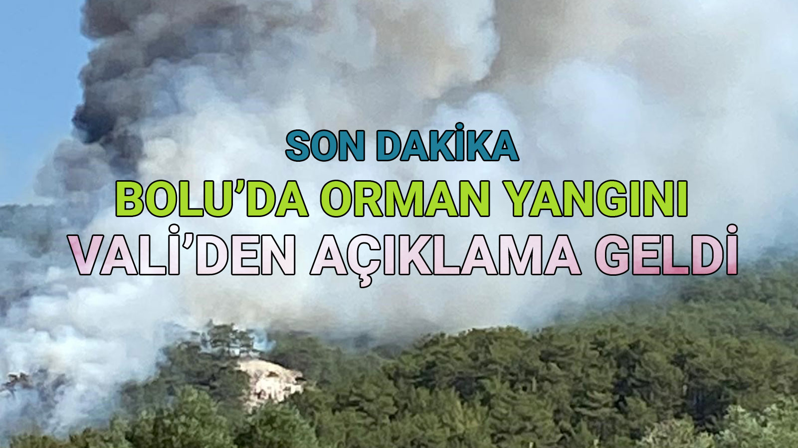 bolu'da orman yangını validen açıklama geldi