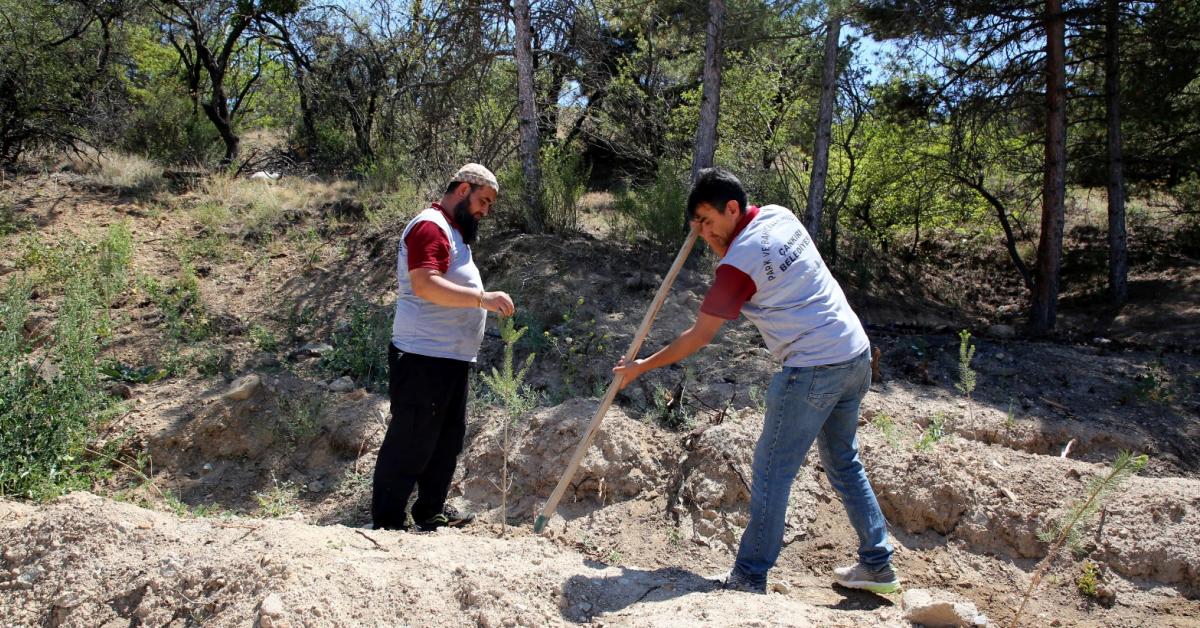 cankiri belediyesinden fidan dikme projesi EqIiQ8kI.jpg