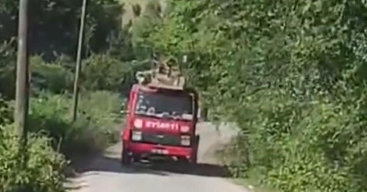 caycumada cop yangini ormanlik alana sicradi cEIQYBaQ.jpg