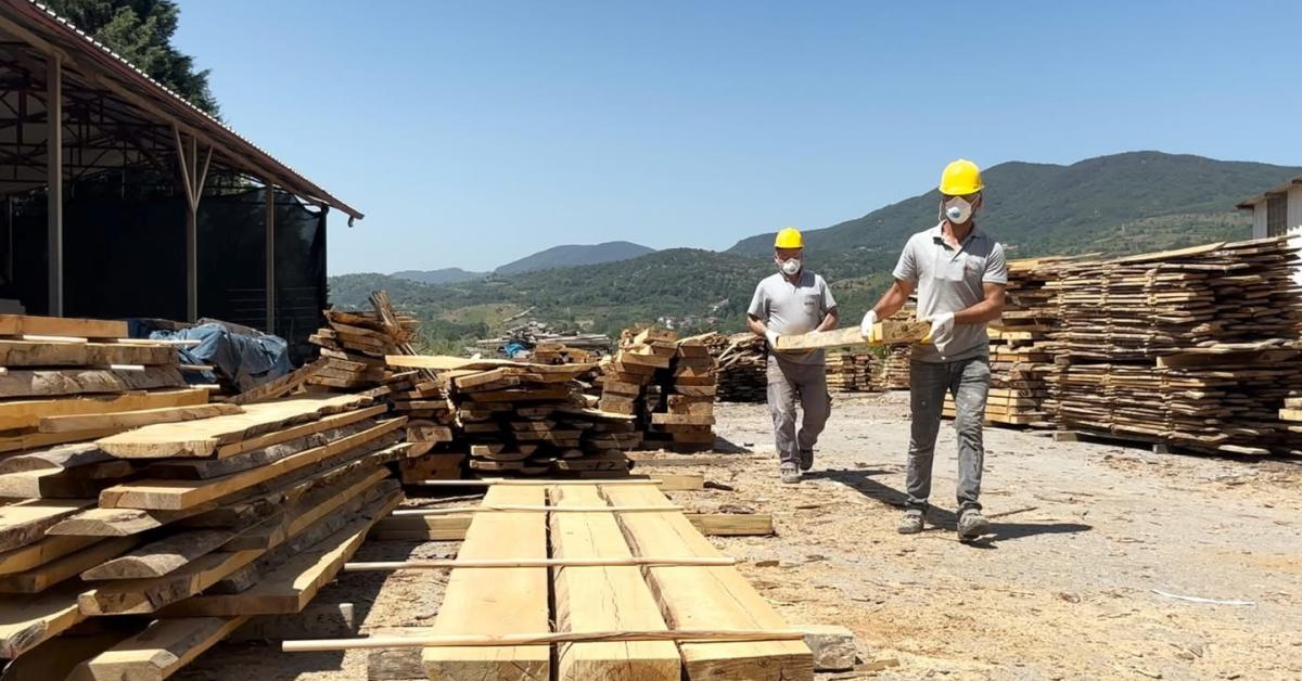caycumada sokak hayvanlari icin 1000 yeni kulube uretimi basladi t1pb4pk9.jpg